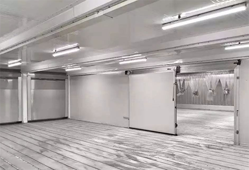 食品水蜜桃在线视频建造安装