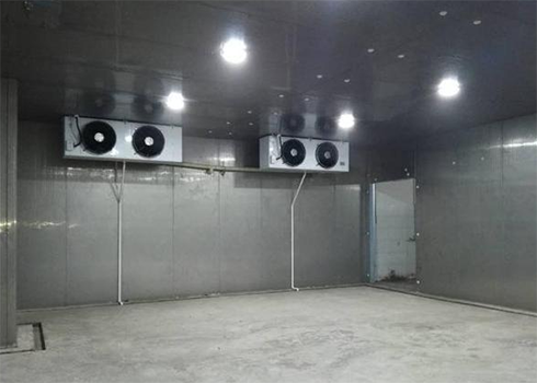 土豆保鲜水蜜桃在线视频建造