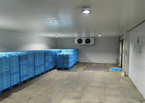 保鲜水蜜桃在线视频建造公司