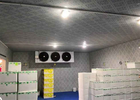 保鲜水蜜桃在线视频建造要求