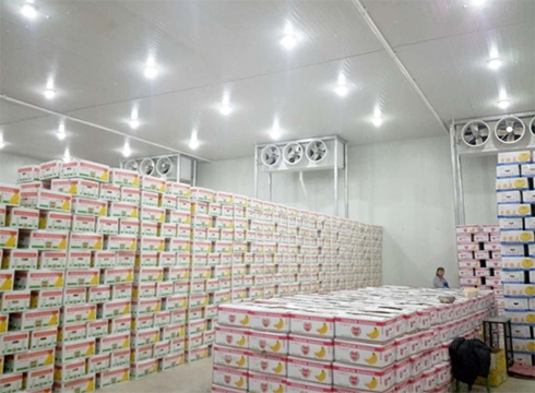 大型食品水蜜桃在线视频建造