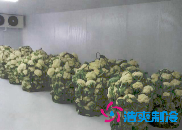食品水蜜桃在线视频保鲜库设计安装方案及其储藏效果