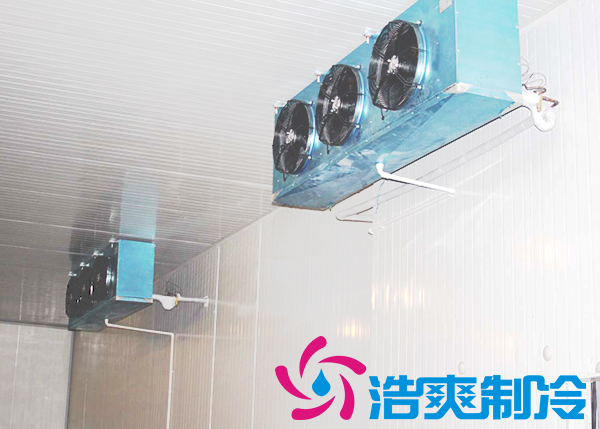 食品水蜜桃在线视频保鲜库设计安装方案及其储藏效果