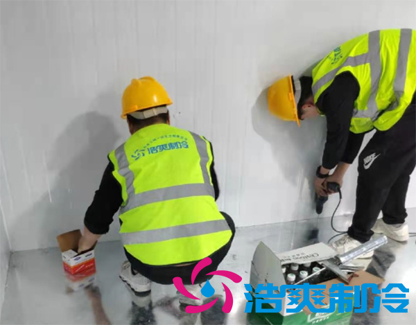 建造1000平方米水果水蜜桃在线视频配置价格是多少