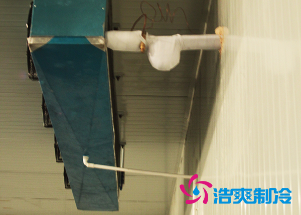 建造大型农产品基地水蜜桃在线视频造价需要投资多少费用？