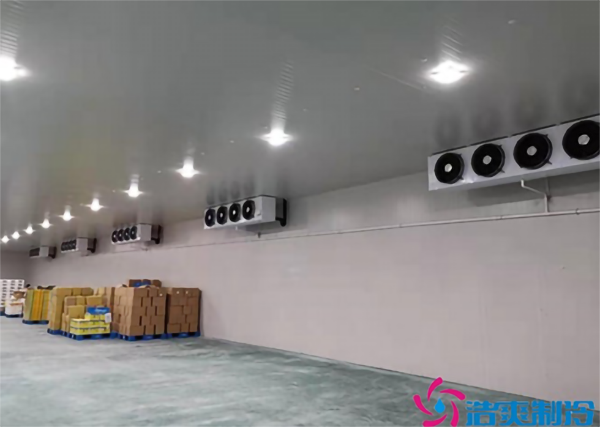蓝莓种植园建造0℃水果保鲜库如何做好入库储藏？_蜜桃视频观看在线制冷