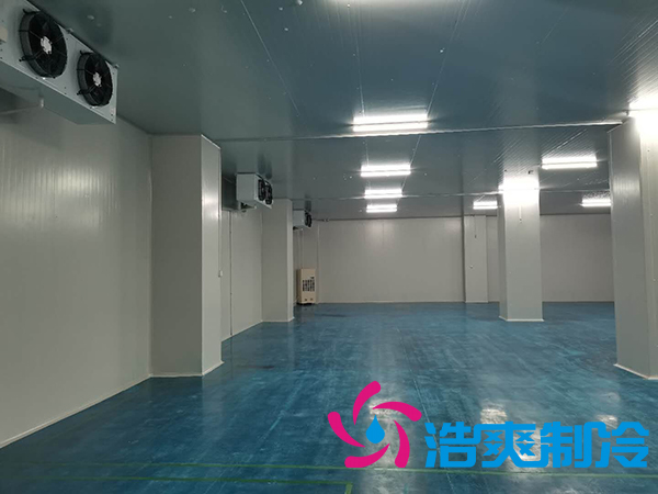滨州健源大型食品水蜜桃在线视频工程建造案例