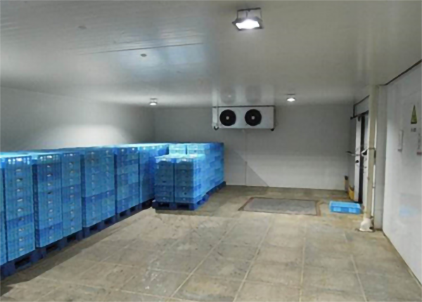 建造安装1000㎡水蜜桃在线视频造价大概需要多少费用？_蜜桃视频观看在线制冷