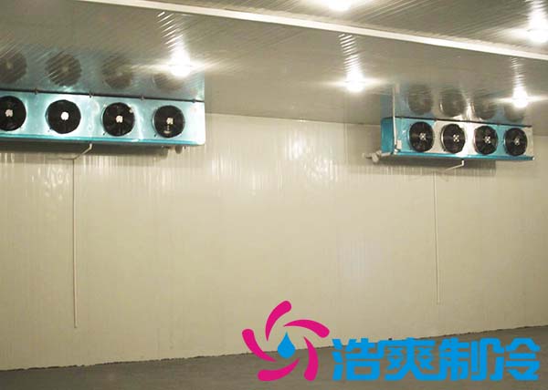 保鲜库和冷冻库有哪些不同？_蜜桃视频观看在线制冷