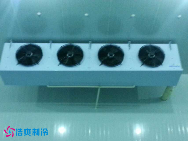 干果保鲜水蜜桃在线视频安装