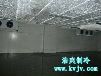 成都环球会展配送中心大型水蜜桃在线视频