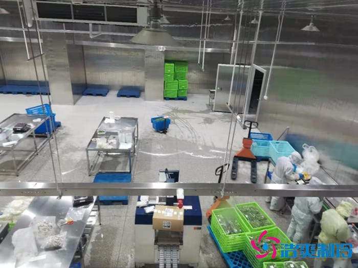 上海儒汇净菜中央厨房水蜜桃在线视频建造工程案例