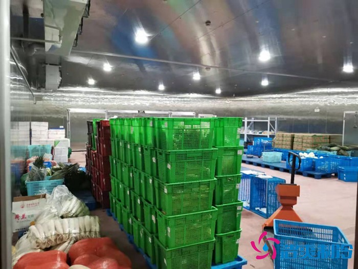 上海儒汇净菜中央厨房水蜜桃在线视频建造工程案例