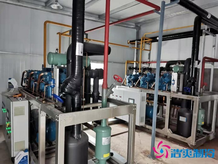 上海儒汇净菜中央厨房水蜜桃在线视频建造工程案例