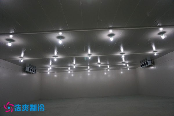 湖北冷源冷链高低温水蜜桃在线视频建造安装
