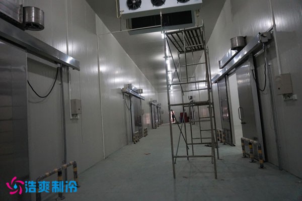 湖北冷源冷链高低温水蜜桃在线视频建造安装