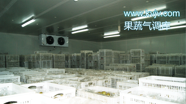 衢州蜜之源果业气调保鲜水蜜桃在线视频建造工程