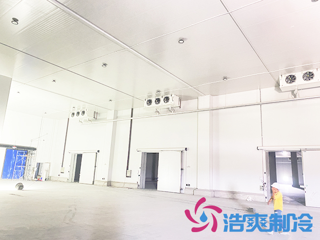 海南建造一个水蜜桃在线视频需要多少钱？_蜜桃视频观看在线制冷