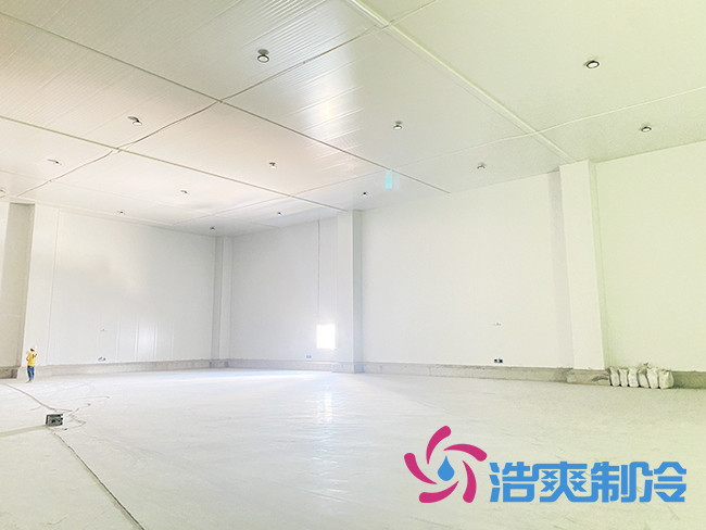 海南建造一个水蜜桃在线视频需要多少钱？_蜜桃视频观看在线制冷