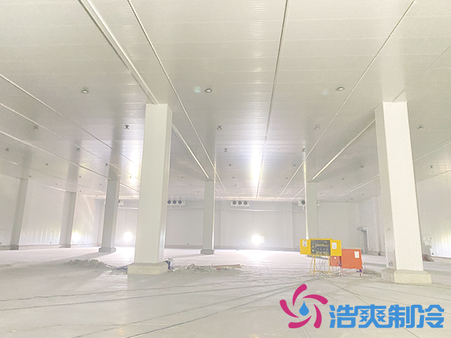 新建100吨桃子水蜜桃在线视频要多少钱？_蜜桃视频观看在线制冷