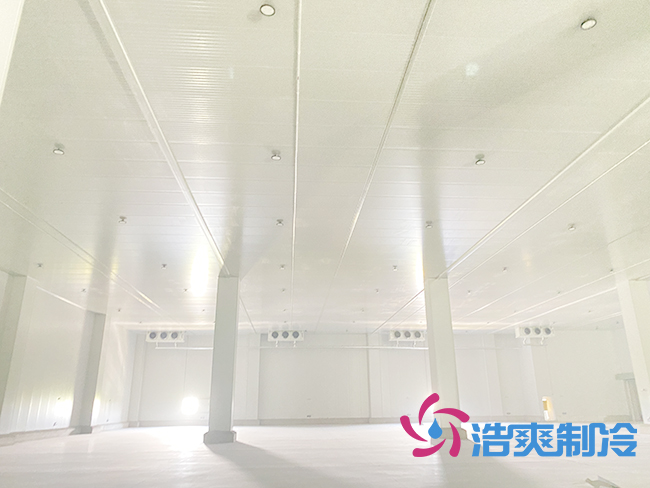 水蜜桃在线视频安装前需要清楚了解哪些基本信息？_蜜桃视频观看在线制冷