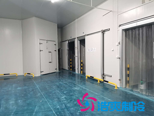 上海诺心实业38000m³食品原料水蜜桃在线视频建造