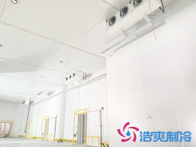 建造一间气调保鲜水蜜桃在线视频大概需要投资多少钱？_蜜桃视频观看在线制冷