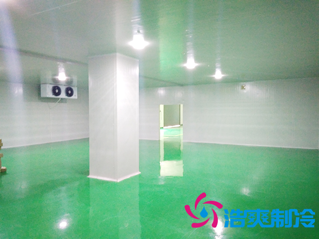 上海立净淮安百斯特农业园保鲜水蜜桃在线视频建造