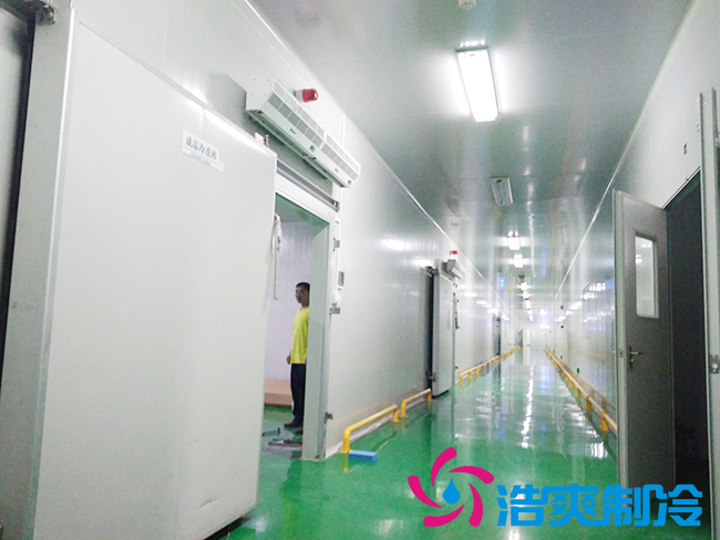 上海立净淮安百斯特农业园保鲜水蜜桃在线视频建造