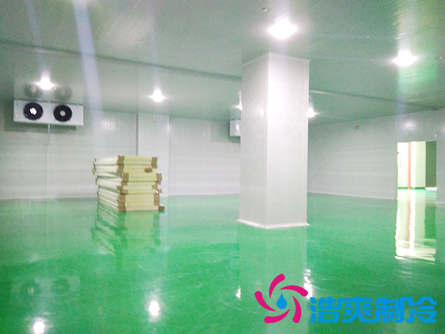 上海立净淮安百斯特农业园保鲜水蜜桃在线视频建造