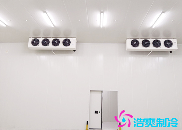 2000立方米海鲜水蜜桃在线视频建造方案及水产冷冻库造价成本_蜜桃视频观看在线制冷