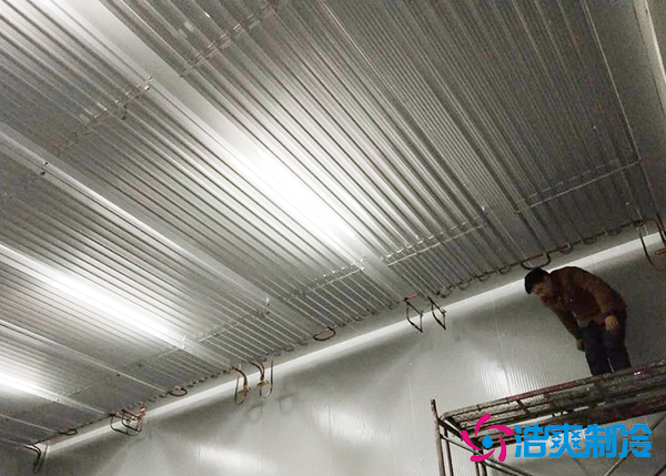 低温铝排管水蜜桃在线视频安装造价及方法技巧-蜜桃视频观看在线制冷