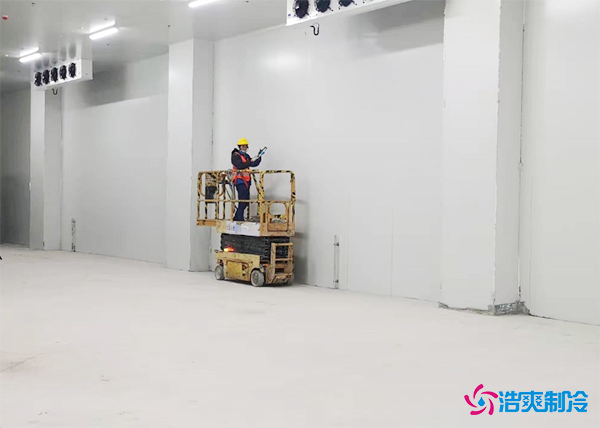 100吨水蜜桃在线视频造价多少钱一平米？需要多大的面积-蜜桃视频观看在线制冷