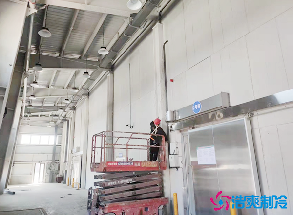 大型排骨水蜜桃在线视频怎么储存？骨头水蜜桃在线视频可以放多久？-蜜桃视频观看在线制冷