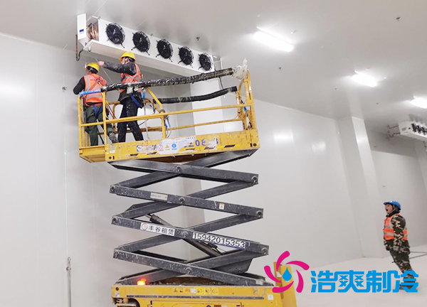 建设农产品低温冷冻库安装造价预算多少钱？-蜜桃视频观看在线制冷