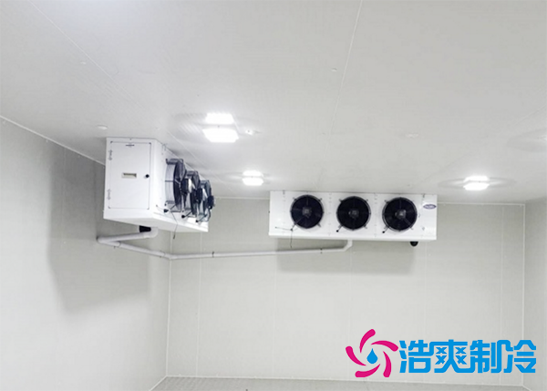 水果批发市场建造水果保鲜水蜜桃在线视频报价大概需要多少钱？-蜜桃视频观看在线制冷