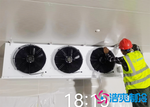 水果批发市场建造水果保鲜水蜜桃在线视频报价大概需要多少钱？-蜜桃视频观看在线制冷