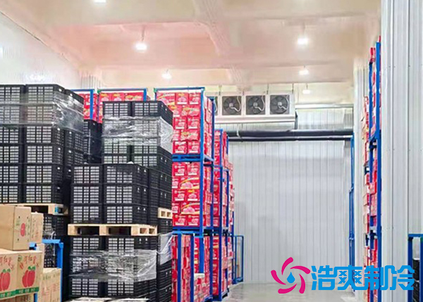 山楂水蜜桃在线视频存储可以放多久?温度要求是多少?-蜜桃视频观看在线制冷