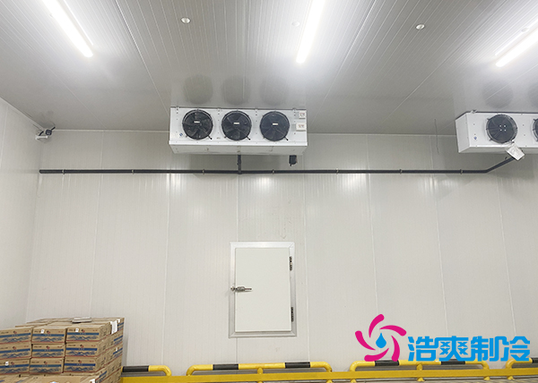 建一个500吨的大蒜水蜜桃在线视频每平方米要花多少钱?-蜜桃视频观看在线制冷