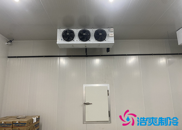 建一个500吨的大蒜水蜜桃在线视频每平方米要花多少钱?-蜜桃视频观看在线制冷