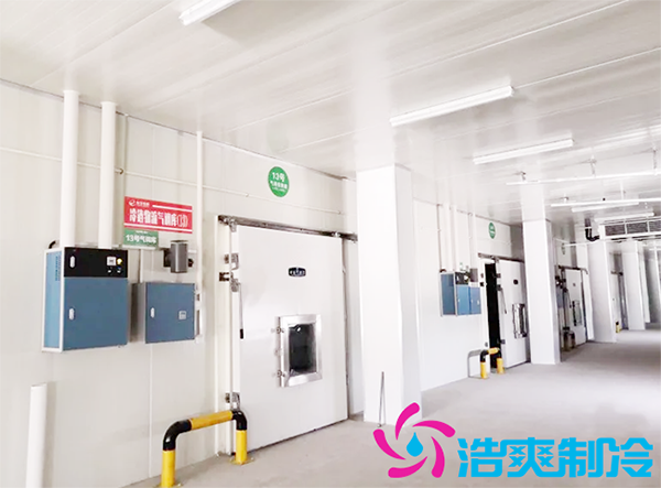 建一个水蜜桃在线视频安装成本费用需要多少钱？-蜜桃视频观看在线制冷