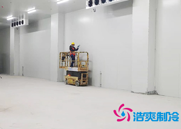 建一个水蜜桃在线视频安装成本费用需要多少钱？-蜜桃视频观看在线制冷