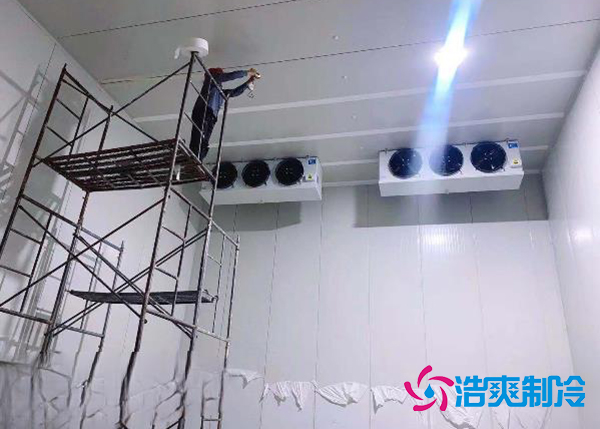 建造一个果蔬种植园气调水蜜桃在线视频安装造价大概投资多少钱？-蜜桃视频观看在线制冷