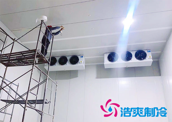 果蔬原产地建造500吨气调水蜜桃在线视频造价成本多少钱？-蜜桃视频观看在线制冷