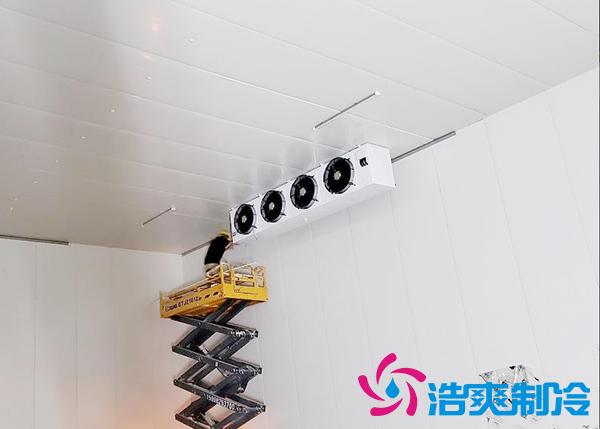 果蔬原产地建造500吨气调水蜜桃在线视频造价成本多少钱？-蜜桃视频观看在线制冷