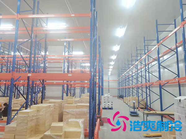 大型物流水蜜桃在线视频设计安装有哪些注意事项？-蜜桃视频观看在线制冷