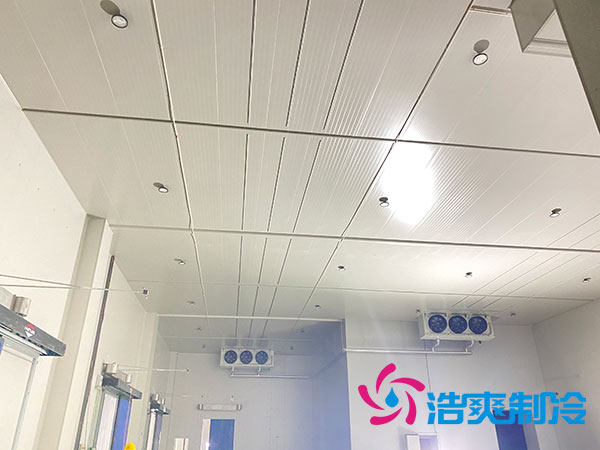 水蜜桃在线视频移走需要多少费用？水蜜桃在线视频移机收费标准-蜜桃视频观看在线制冷