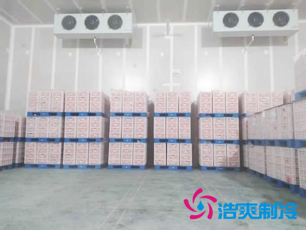 什么是气调水蜜桃在线视频？气调库工作原理