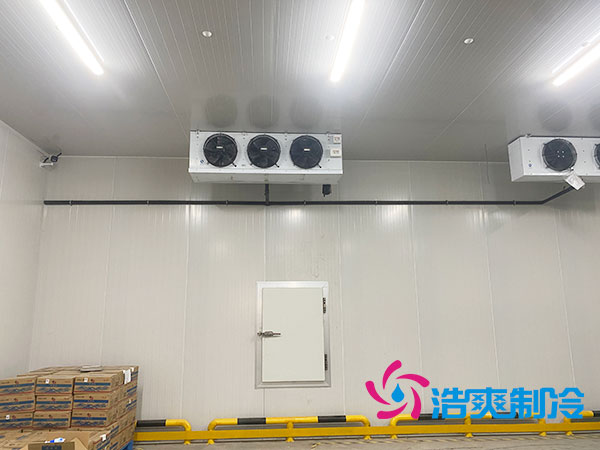 江苏农产品保鲜库建造大概多少钱？-蜜桃视频观看在线制冷