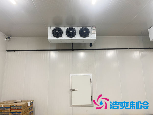 江苏农产品保鲜库建造大概多少钱？-蜜桃视频观看在线制冷